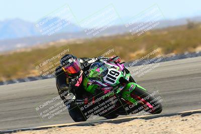 media/Feb-12-2022-SoCal Trackdays (Sat) [[3b21b94a56]]/Turn 11 Inside (155pm)/